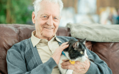 Benefits of Animal Therapy For the Elderly